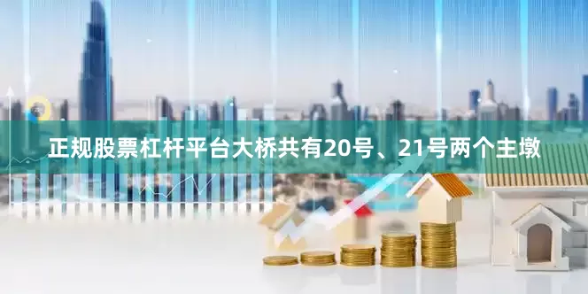 正规股票杠杆平台大桥共有20号、21号两个主墩