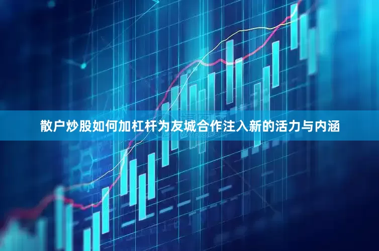 散户炒股如何加杠杆为友城合作注入新的活力与内涵
