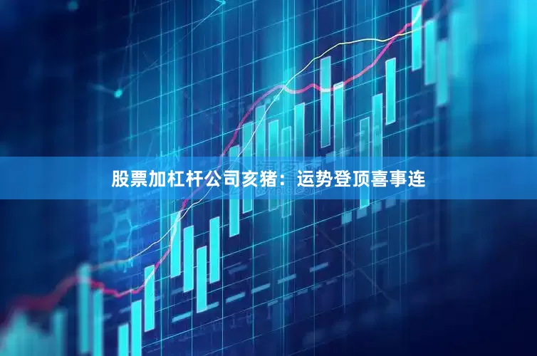 股票加杠杆公司亥猪：运势登顶喜事连