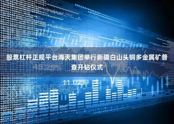 股票杠杆正规平台海天集团举行新疆白山头铜多金属矿普查开钻仪式