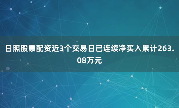日照股票配资近3个交易日已连续净买入累计263.08万元