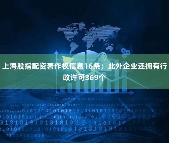 上海股指配资著作权信息16条；此外企业还拥有行政许可369个